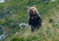 Gefährlich nah 01 web200